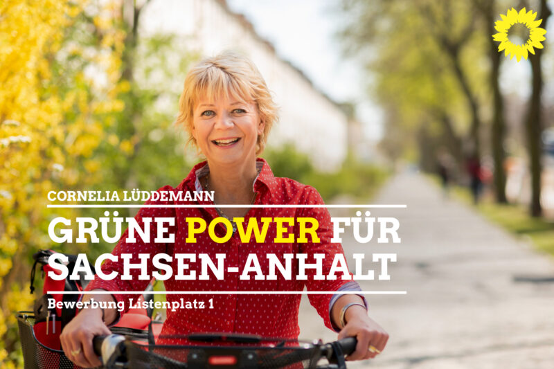 gruene-power-fuer-sa-2
